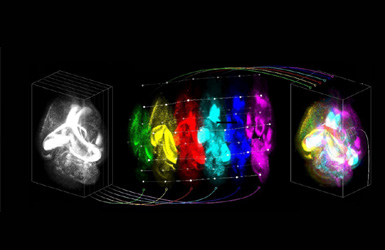 北京清(qing)準醫(yī)學(xué)案例圖片