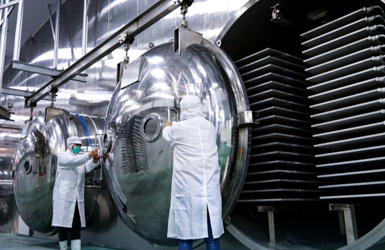 中(zhong)孚冷鏈網站設(shè)計(ji)案例